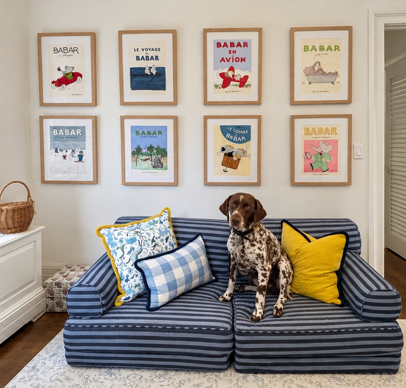 Siggy, the family dog, sitting on a blue striped play sofa beneath eight framed Babar prints, with blue and yellow cushions